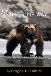 Icon image The Wolverine Way