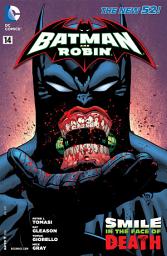 Icon image Batman and Robin (2011)