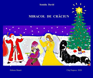 Icon image Miracol de Crăciun