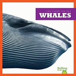 Icon image Whales