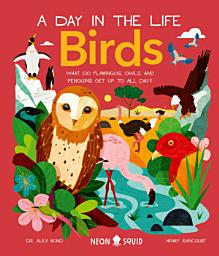 Icon image Birds (A Day in the Life): What Do Flamingos, Owls, and Penguins Get Up To All Day?