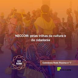 Icon image NECCOM: pelas trilhas da cultura e da cidadania: Coletânea Rede Rizoma Número 7