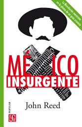 Icon image México insurgente