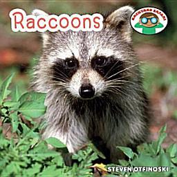 Icon image Raccoons