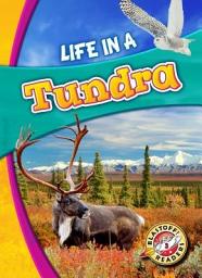 Icon image Life in a Tundra