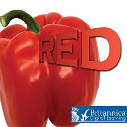 Icon image Red