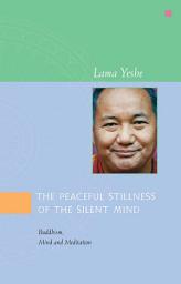 Icon image The Peaceful Stillness of the Silent Mind: Buddhism, Mind and Meditation