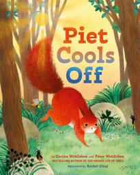 Icon image Piet Cools Off