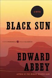 Icon image Black Sun: A Novel