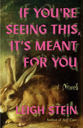 Icon image If You're Seeing This, It's Meant for You: A Novel