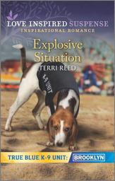 Icon image Explosive Situation