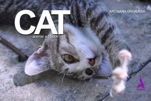 Icon image Cat: animal art book 1
