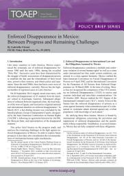 Icon image Enforced Disappearance in Mexico: Between Progress and Remaining Challenges