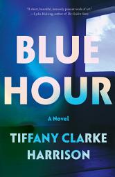 Icon image Blue Hour: A Novel