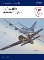 Icon image Luftwaffe Sturmgruppen