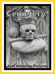Icon image Just Cemeteries!: Big Book of Photographs & Cemetery, Grave, Tombstone Pictures