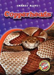 Icon image Copperheads