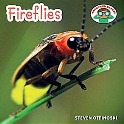 Icon image Fireflies