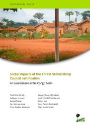 Icon image Social impacts of the Forest Stewardship Council certification: An assessment in the Congo basin