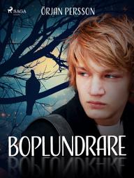 Icon image Boplundrare