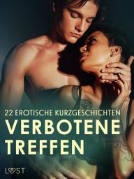 Icon image Verbotene Treffen: 22 erotische Kurzgeschichten