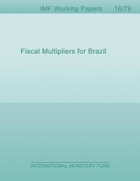 Icon image Fiscal Multipliers for Brazil