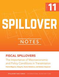 Icon image Fiscal Spillovers: The Importance of Macroeconomic and Policy Conditions in Transmission