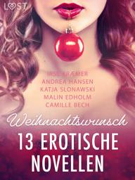 Icon image Weihnachtswunsch - 13 erotische Novellen