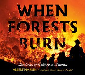 Icon image When Forests Burn: The Story of Wildfire in America