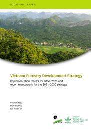 Icon image Vietnam Forestry Development Strategy: Implementation results for 2006â2020 and recommendations for the 2021â2030 strategy