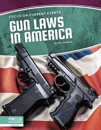 Icon image Gun Laws in America