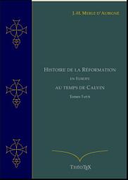 Icon image Histoire de la Réformation en Europe au Temps de Calvin, Tomes 5 et 6