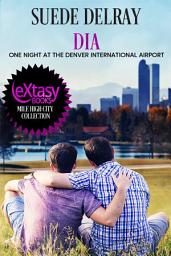 Icon image Dia - One Night at the Denver International Airport