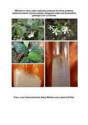 Icon image Efficient in vitro callus induction protocol for three endemic medicinal plants (Cyclea peltata, Naegamia alata and Kaempferia galangal Linn.) in Kerala