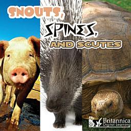 Icon image Snouts, Spines, and Scutes