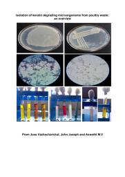 Icon image Isolation of keratin degrading microorganisms from poultry waste: an overview