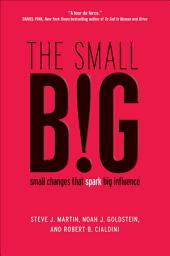 Icon image The small BIG: small changes that spark big influence