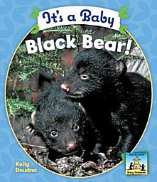 Icon image It's a Baby Black Bear