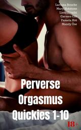 Icon image Perverse Orgasmus Quickies 1-10: Heiße Sexgeschichten