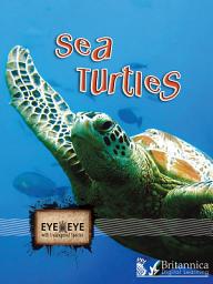 Icon image Sea Turtles