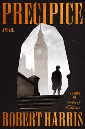 Icon image Precipice: A Novel