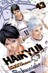 Icon image Haikyu!!: The Final Boss