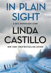 Icon image In Plain Sight: A Kate Burkholder Short Mystery