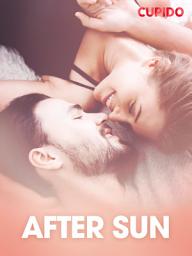 Icon image After sun – erotiske noveller
