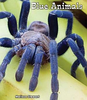 Icon image