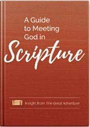 Icon image A Guide to Meeting God in Scripture: Insight from the Great Adventure