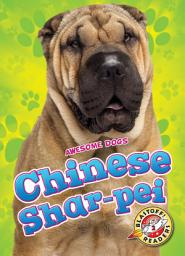 Icon image Chinese Shar-pei
