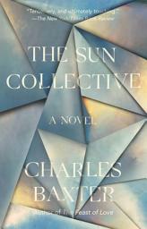 Icon image The Sun Collective: A Novel