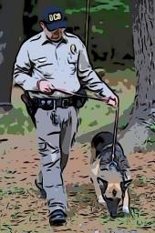 Icon image El Perro y el Perrero