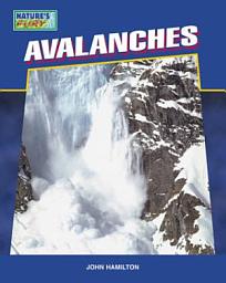 Icon image Avalanches